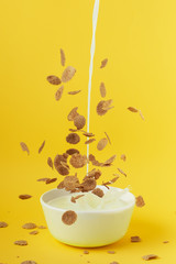 
Cereal bowl with milk. The cereals fall into the bowl and make a milk splah. The background is yellow. The image contains space for a text.
