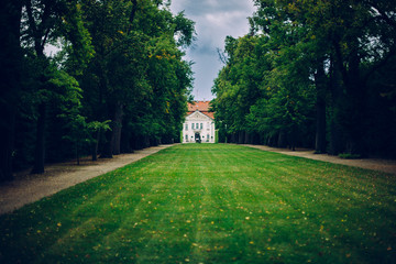 pałac w Nieborowie trawnik drzewa - obrazy, fototapety, plakaty