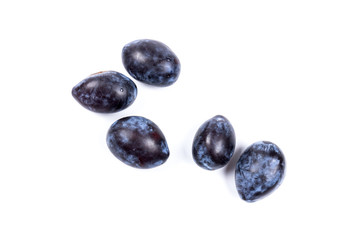 Fresh blue plums, isolated on white background, in close-up.