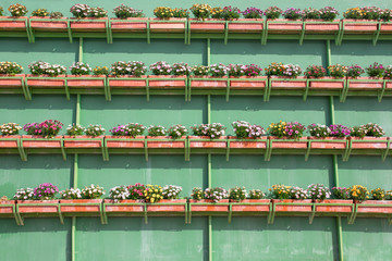 Vertical wall garden full of flower boxes or planters