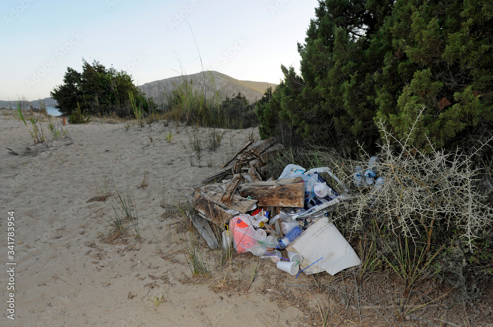 Canvas Prints Am Badestrand abgeladener Müll (Golden beach, Gialova, Pylos, Peloponnes, Griechenland) - rubbish on a beach (Divari, Gialova, Pylos, Peloponnese, Greece)