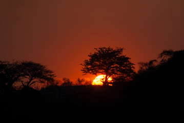 Setting the Sun at dusk from Guatemala City, silhouetted by mountains and trees, peaceful dusk in the middle of the Covid 19 pandemic Central America.