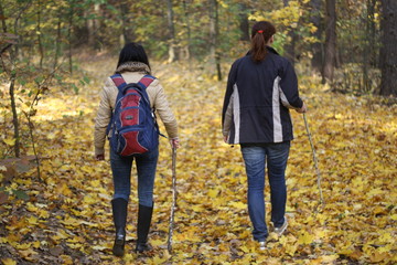 two people are walking through autumn forest, path covered by foliage