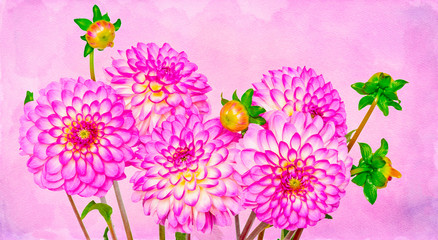 Watercolor digital painting dahlias