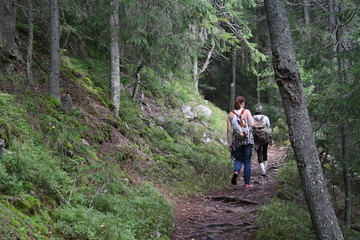 two people walking up to the peak through mountain forest, path, landscape
