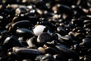 Α white pebble between black pebbles