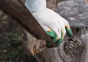 a man sawing a piece of wood with a saw, cut firewood with a saw, sawing boards, logs