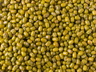 moong dal isolated stock images 