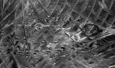 Unusual abstract black and white wooden bark texture background pattern