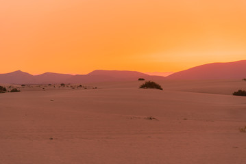 Fototapeta na wymiar colorful sunset over desert sand dunes