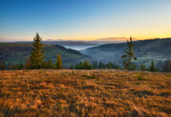 foggy sunrise in the Carpathians. picturesque fog between the slopes of autumn mountains