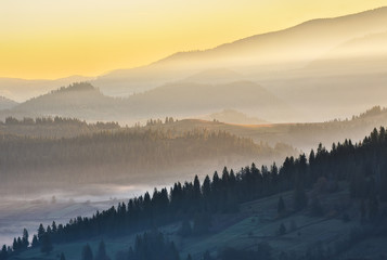 foggy sunrise in the Carpathians. picturesque fog between the slopes of autumn mountains