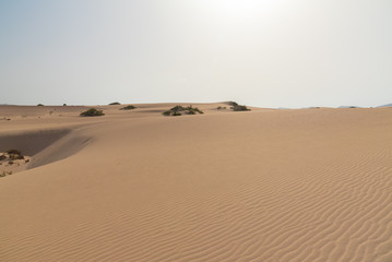Fototapeta na wymiar the sand desert dunes