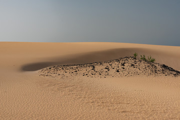 the sand desert dunes