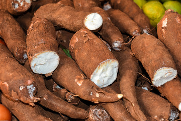 Maniok