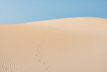 the sand desert dunes