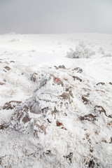 Frozen stone balance with icicles and red circle track marking, at the summit of snow covered mountain on a misty day 