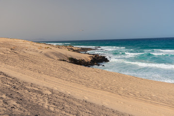 the sand desert dunes