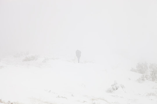 Tired mountain hiker with hood over head walking through the misty, snow covered highlands