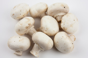 Mushrooms on a white background. Mushrooms for cooking delicious dishes.