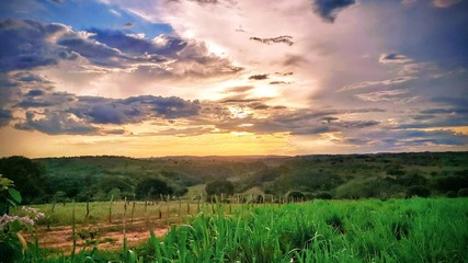 Obraz premium sunrise over the field