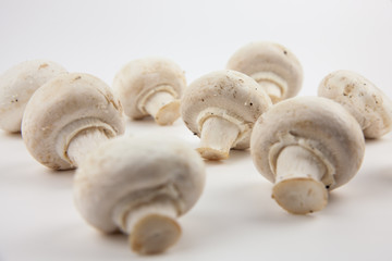 Fototapeta na wymiar Mushrooms on a white background. Mushrooms for cooking delicious dishes.
