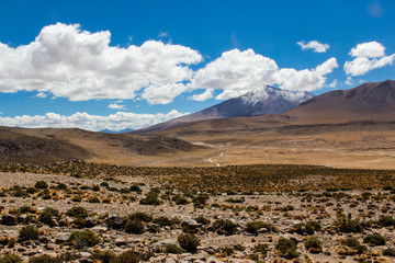 view of the Volcana Olague in  Bolivia 
