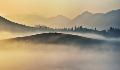 foggy sunrise in the Carpathians. picturesque fog between the slopes of autumn mountains