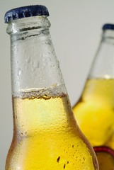A close up of the neck of pair of light beer bottles.