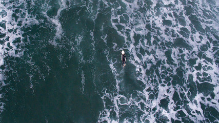Surfer in waves