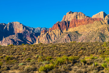 The Red Rock Escarpment and Mojave Desert, Red Rock National Conservation Area, Las Vegas, Nevada, USA