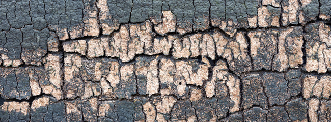 abstract pattern of very old and dry wood