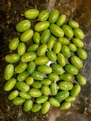 Vertical view of harvest of mexican cucumbers