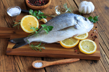 Fresh raw dorado fish