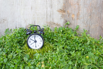 Black alarm clock in green grass, concept of time