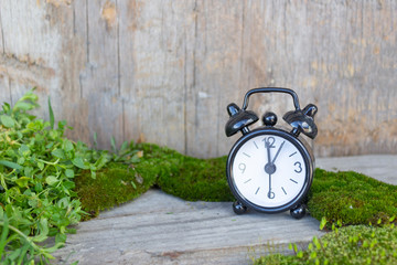 Black alarm clock, spring and summer time. Summer concept