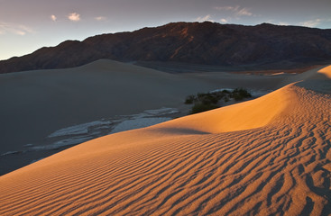 Wind Formed Patterns on the Mesquite Flat Sand Dunes, Death Valley National Park, California, USA