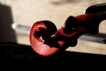 Violin in the arms of the evening sunlight.