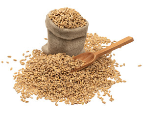 wheat grains in burlap with a wooden spoon on a white background
