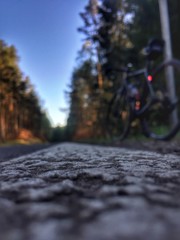Background with random bike. Forest and road 