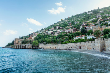 Cozy beautiful houses in the dense greenery of trees by the sea.