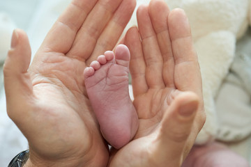 Obraz na płótnie Canvas Newborn Hands 