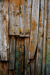 An old wall of wooden planks with traces of old paint