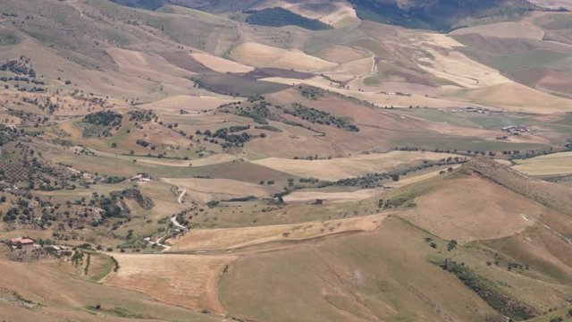 Wheat fields in Sicily. Green in April. Dazzling yellow in summer.