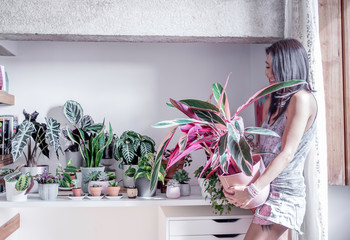 Woman enjoy staying home gardening with indoor house plants