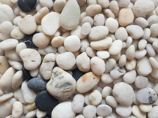 Fototapeta na wymiar Background of sea pebbles close-up