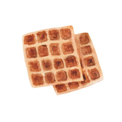 Watercolor wafer