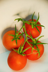 red tomatoes on isolated background, fresh tomatoes, vegetables