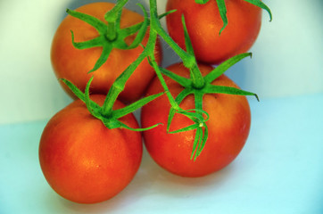 red tomatoes on isolated background, fresh tomatoes, vegetables