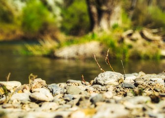 Makrowelt am Fluss